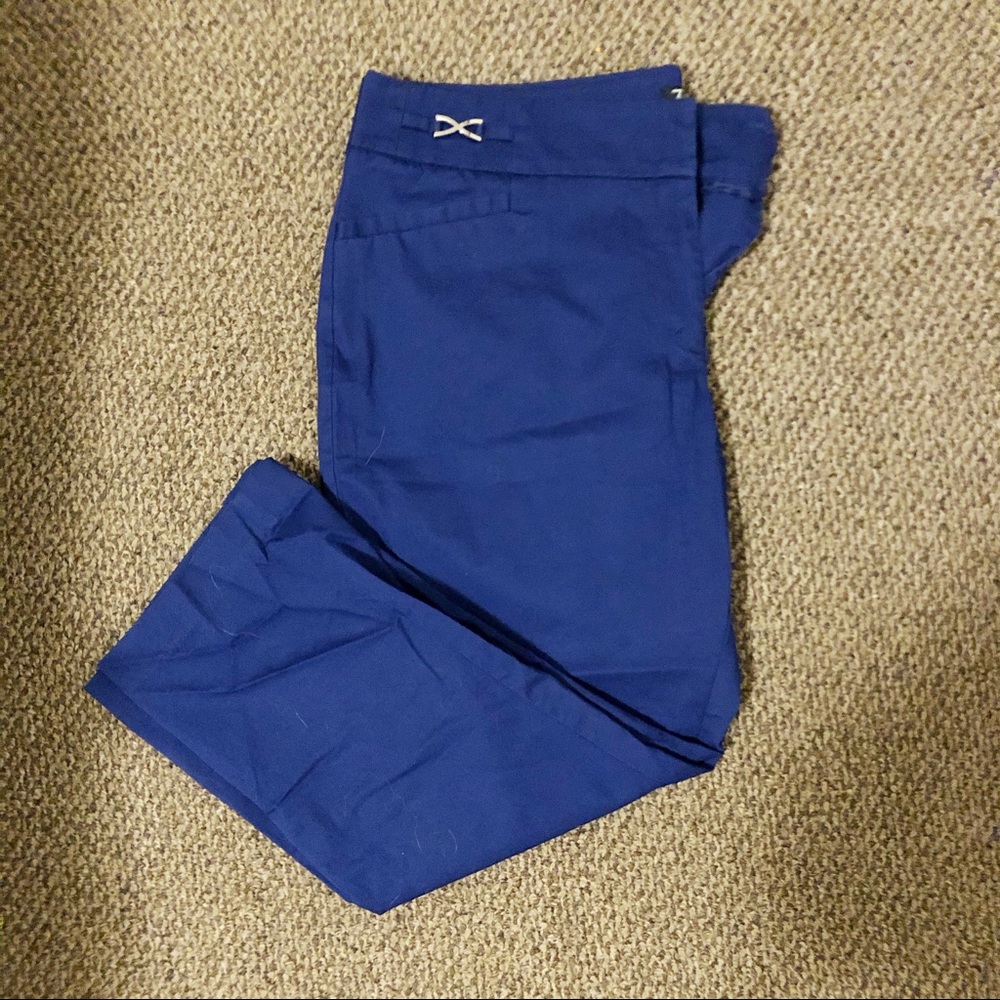 New York & Company Crop Pants Blue Size 14